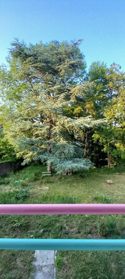 La Croisee Des Chemins アルク・ラ・バタイユ エクステリア 写真